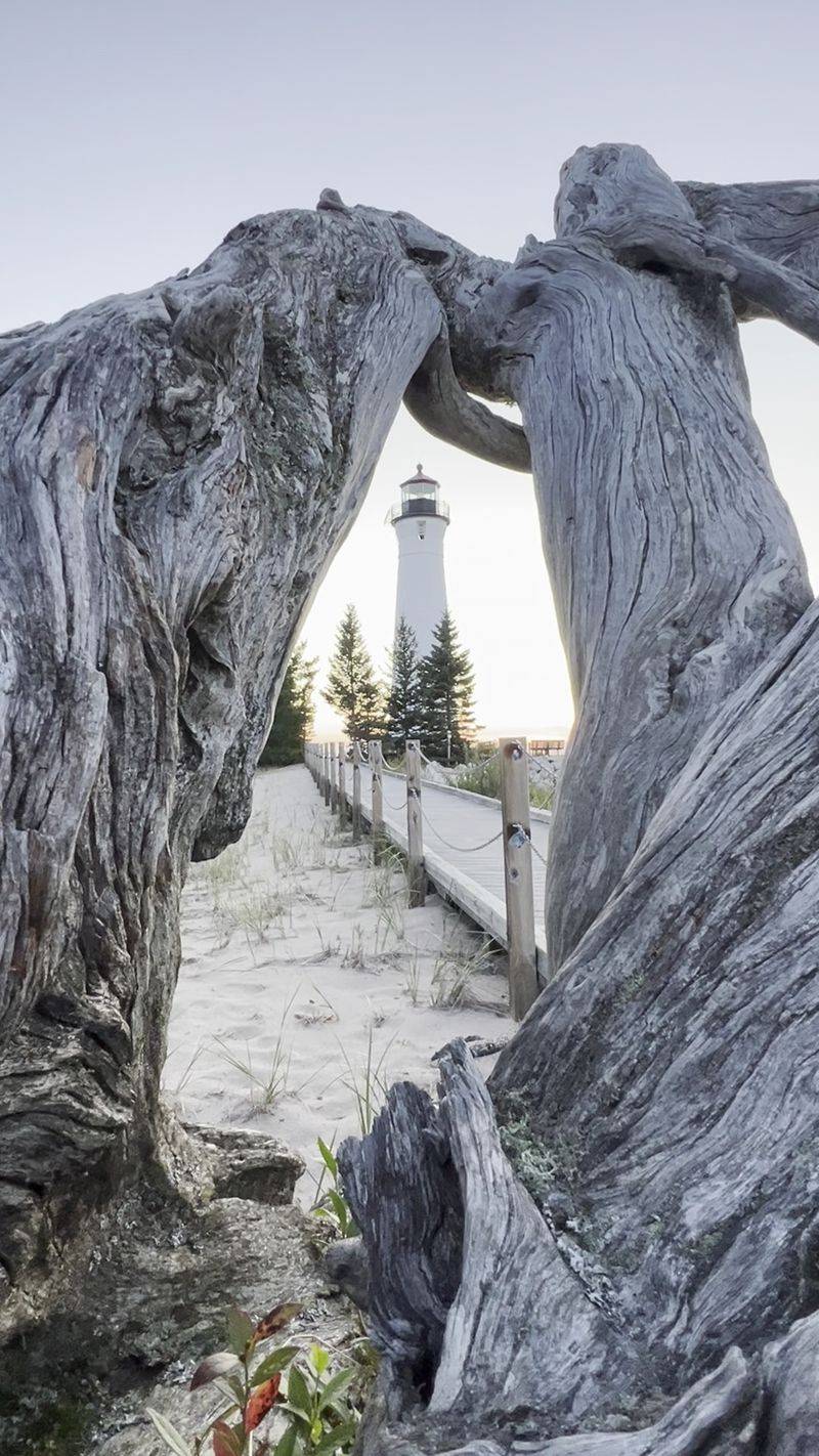 Photography Guide: Light, Angles, And Timing