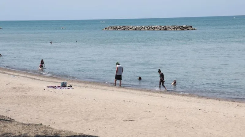 Beach Glass, Shelling, And Simple Shore Walks