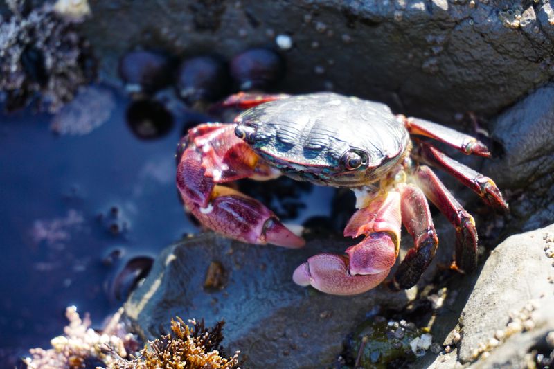 Photography Tips for Shifting Light