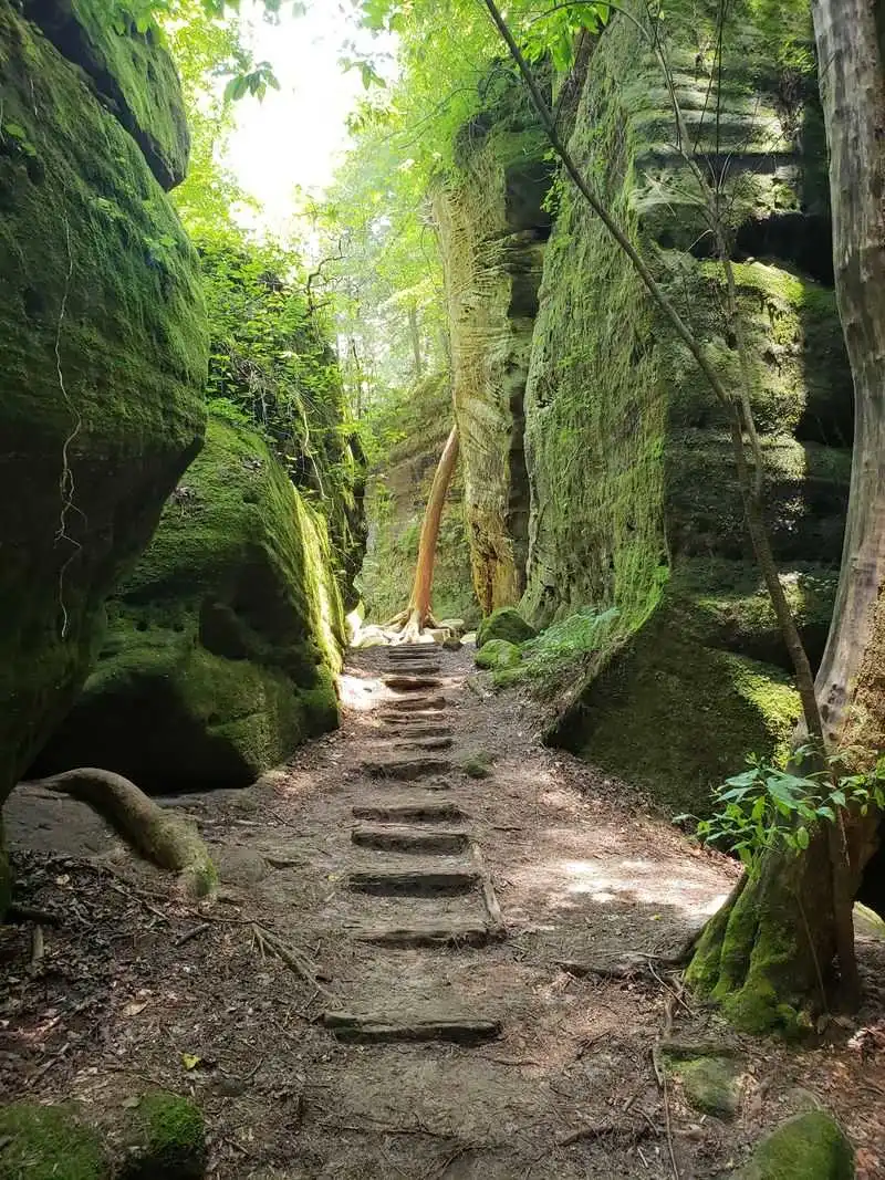 Natural History And Geology