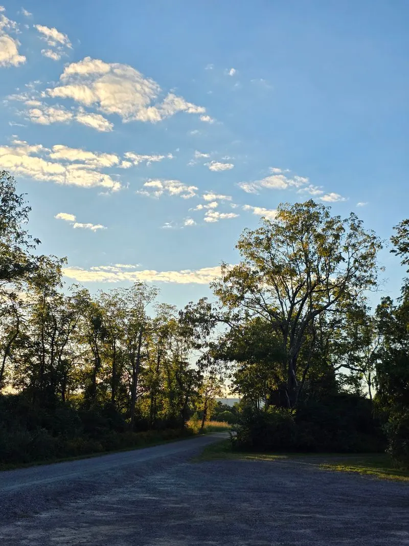 Navigation: Maps, Waypoints, And Loops