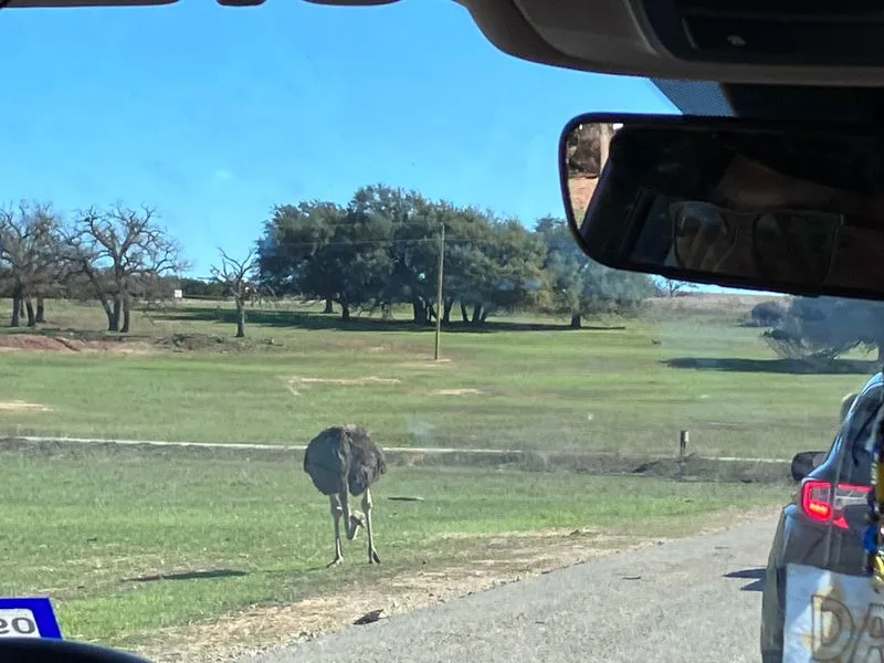 Photography Tips From the Car Window