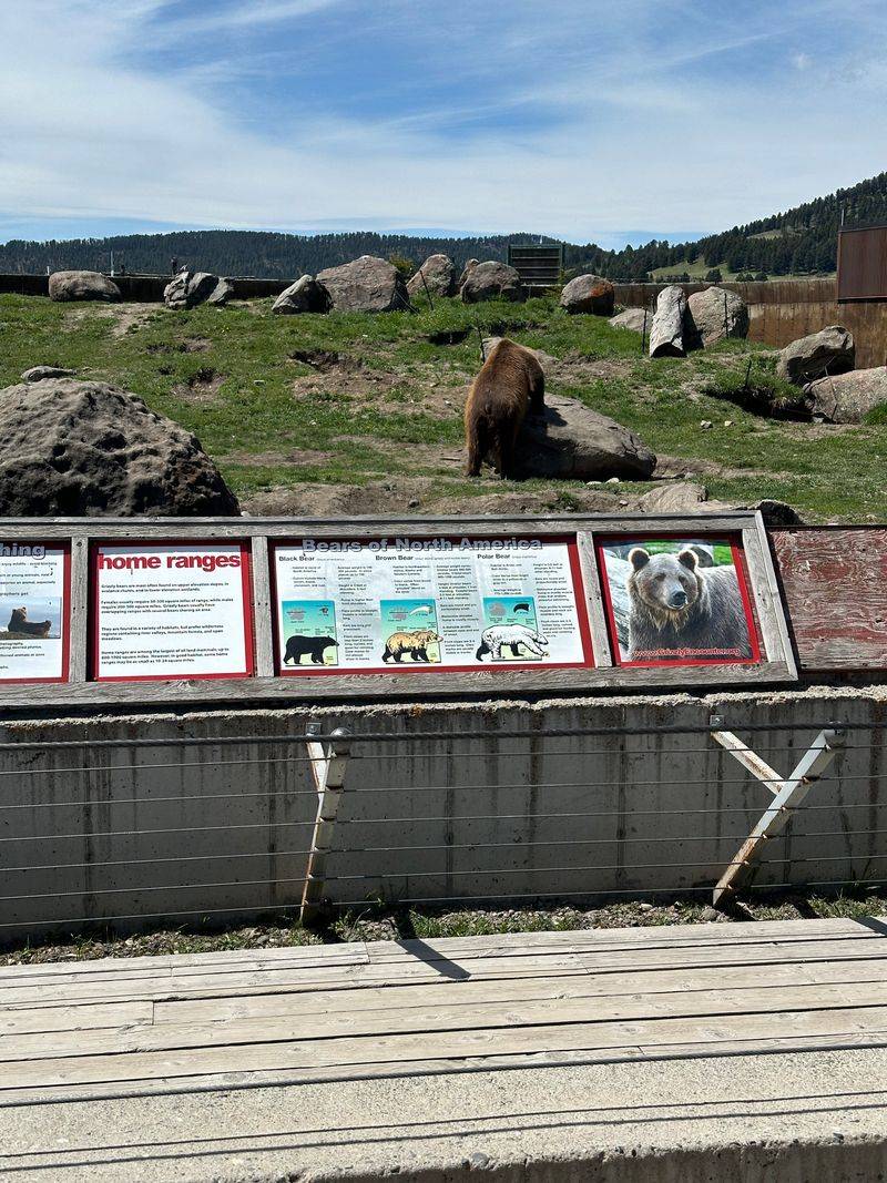 Hunter and Remmie: The Knowledge Keepers