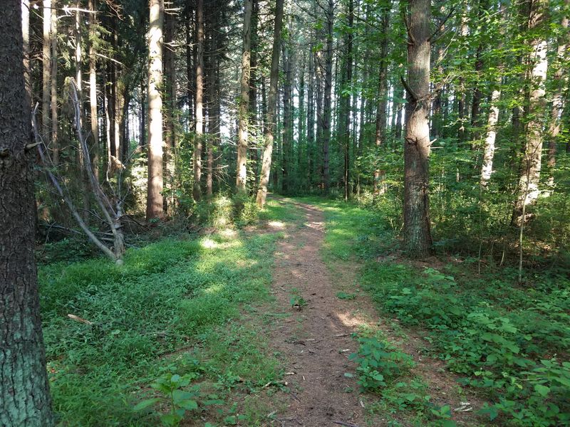 How to extend the outing: loops, nearby trails, and picnic spots