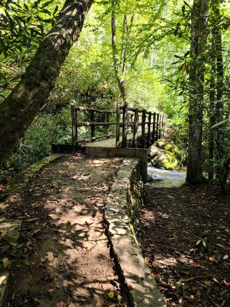 Photography and best light