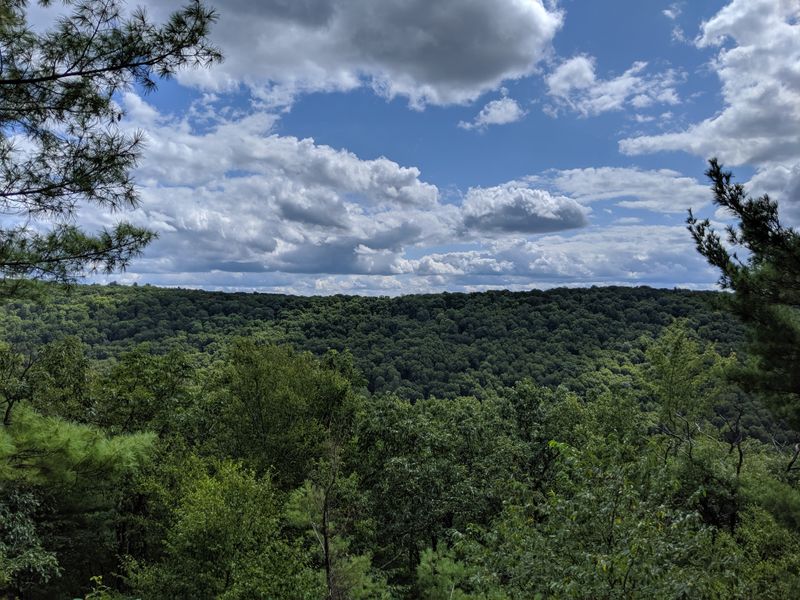 Cook Forest &ndash; Seneca Point & Fire Tower Views