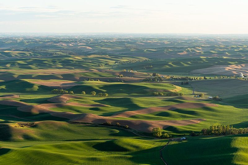 The Palouse