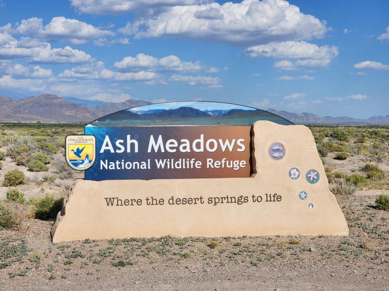 Ash Meadows National Wildlife Refuge