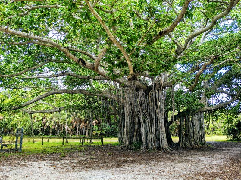 Hugh Taylor Birch State Park &mdash; Fort Lauderdale, FL