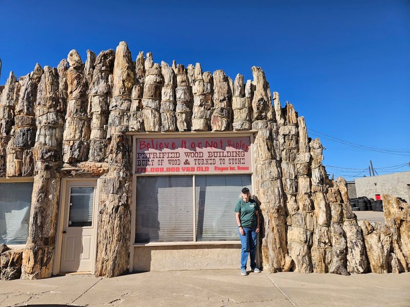 Petrified Wood Gas Station — Lamar