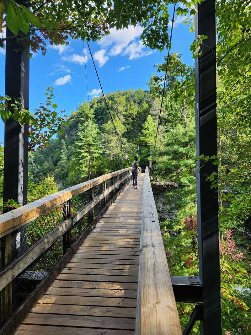 Tallulah Gorge State Park Hike and Suspension Bridge