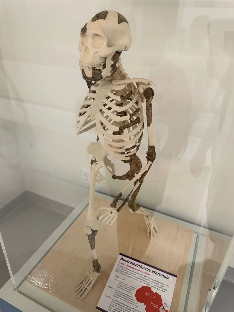 Cleveland Museum of Natural History