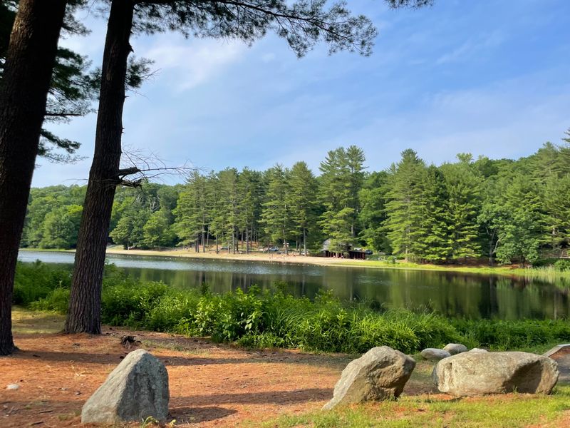 Pond and Beach Area