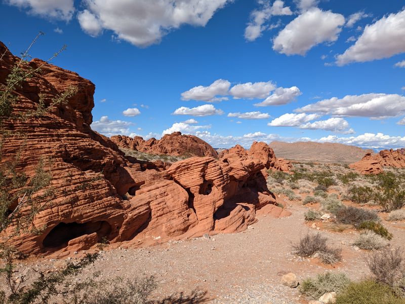 A True Desert Wilderness in the Mojave Desert