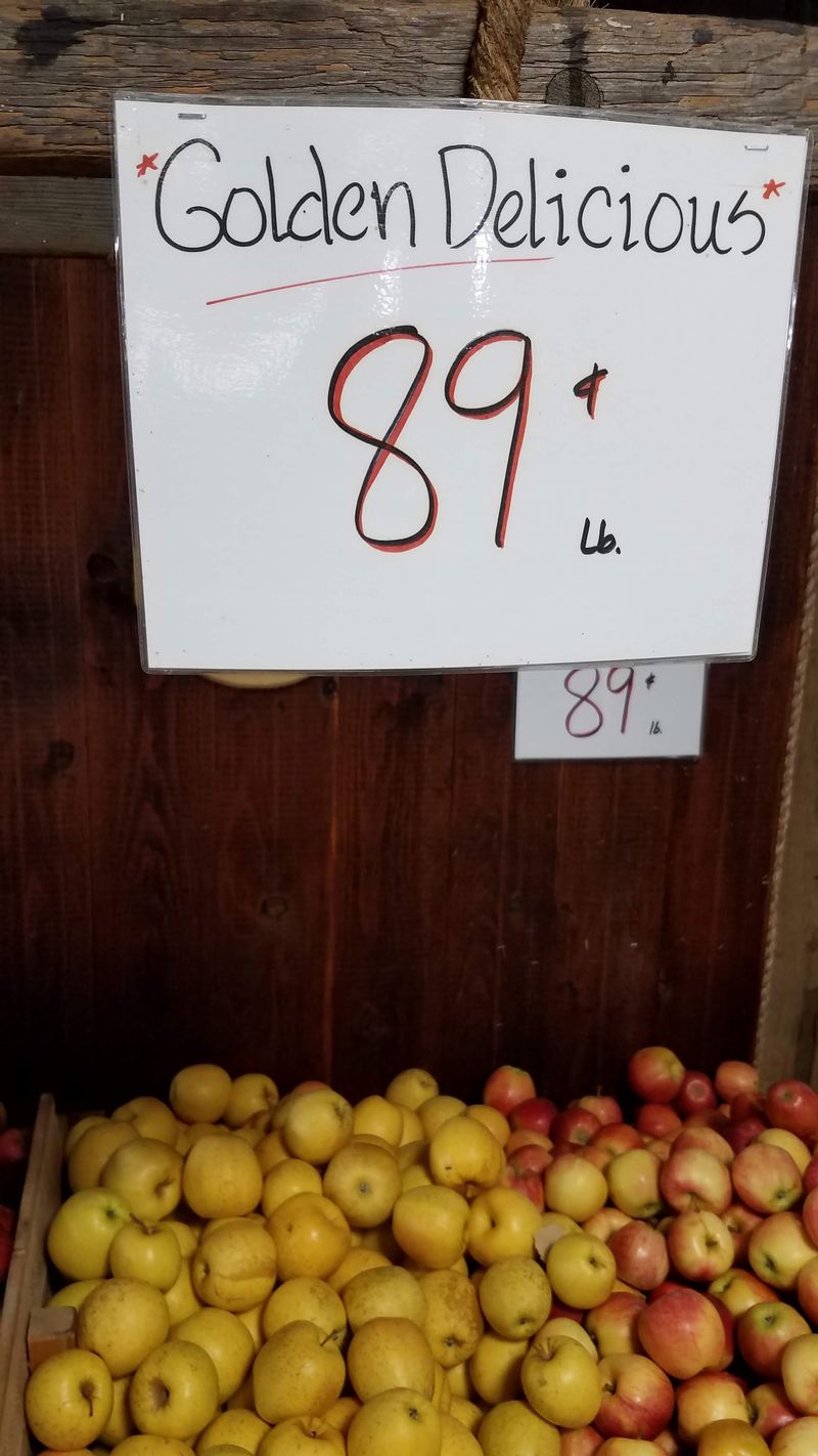 Extensive Apple Variety Through the Seasons