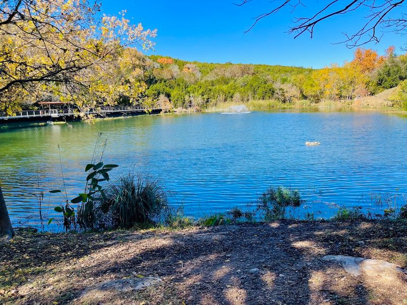 Community and Conservation Efforts