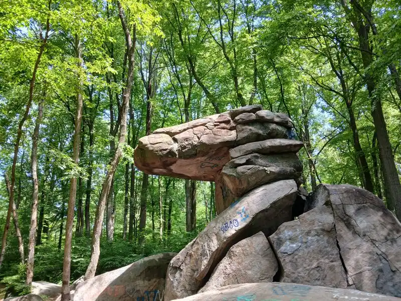 Dinosaur Rock