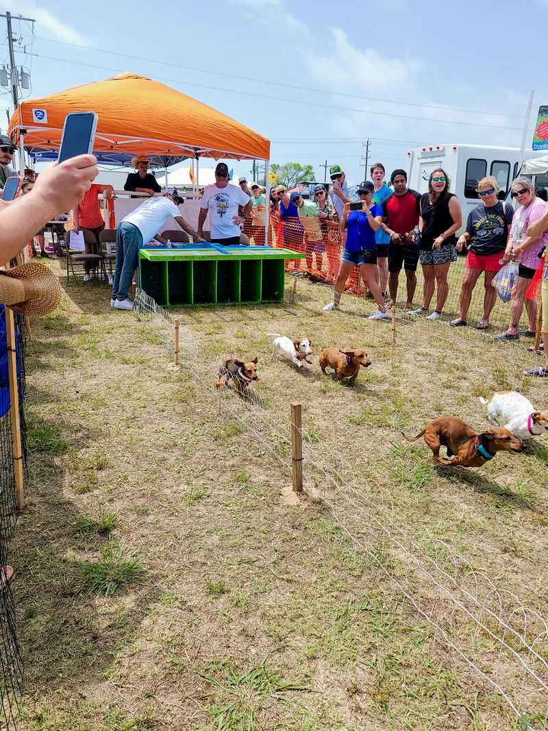 Texas Crab Festival &mdash; Crystal Beach, TX