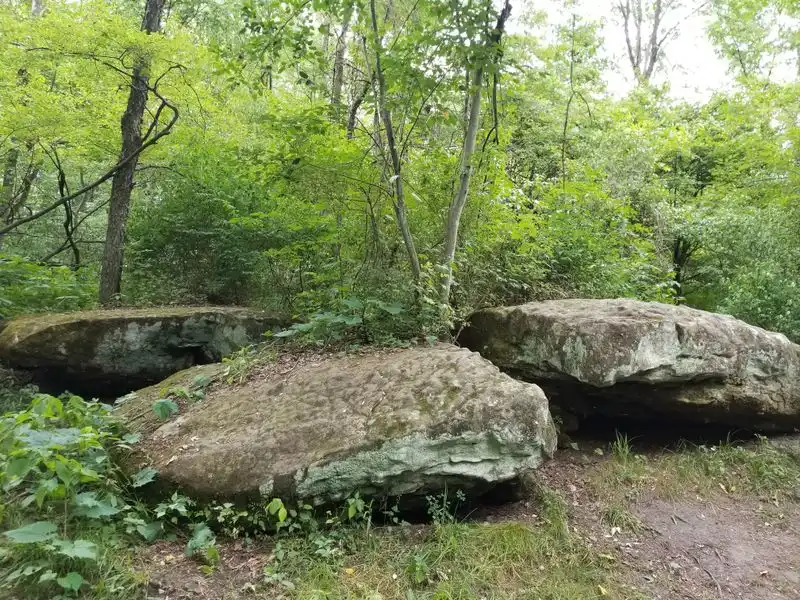 Picnic Spots and Rest Areas