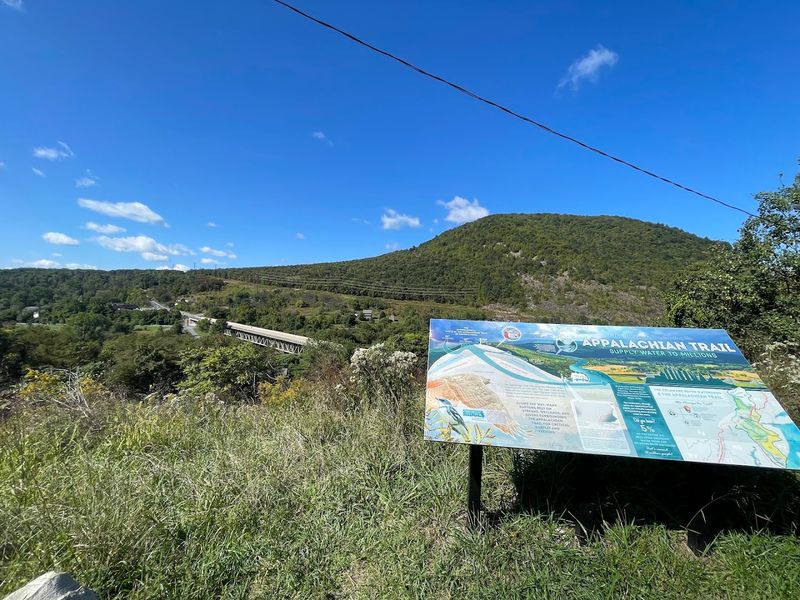 Community and Conservation Efforts