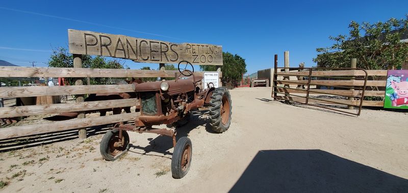 A Slice of Local History