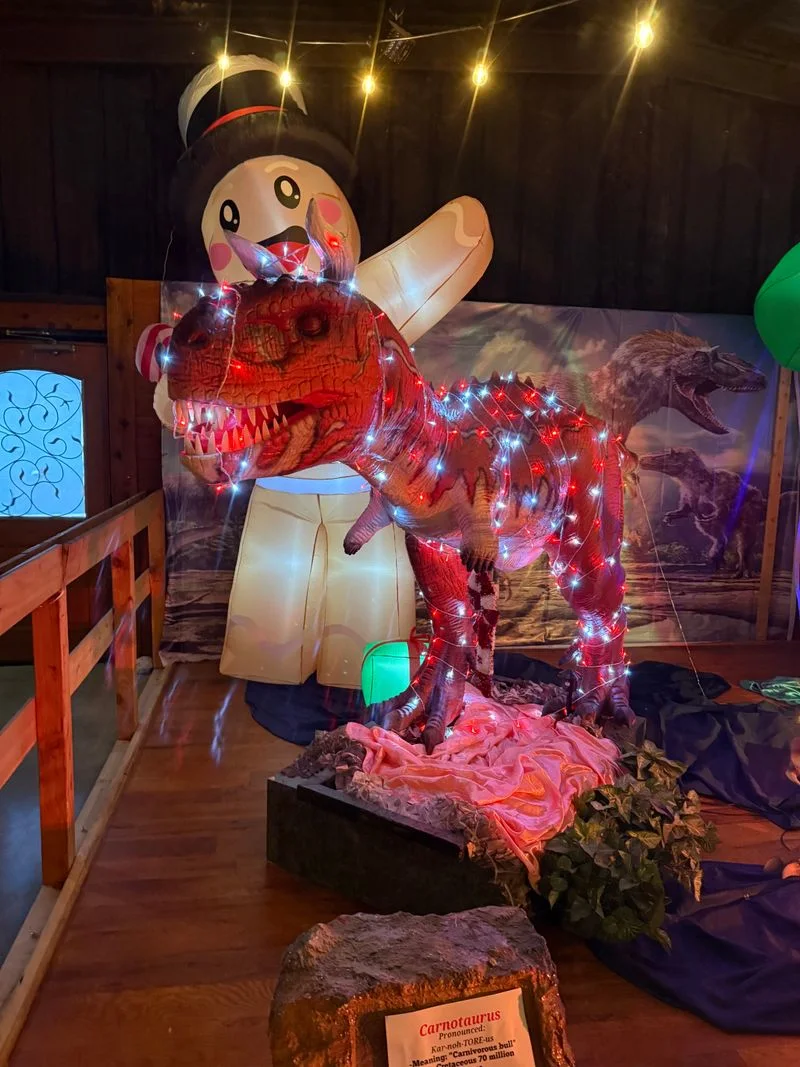 Educational Workshops