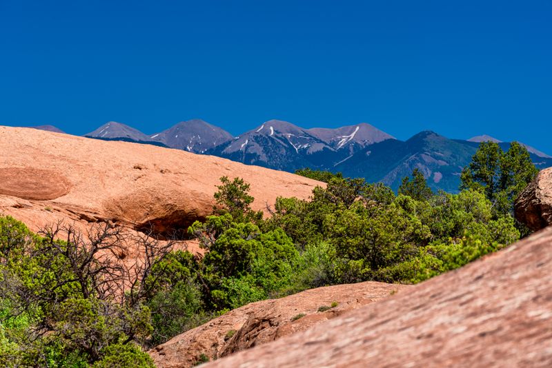 Local Flora and Fauna