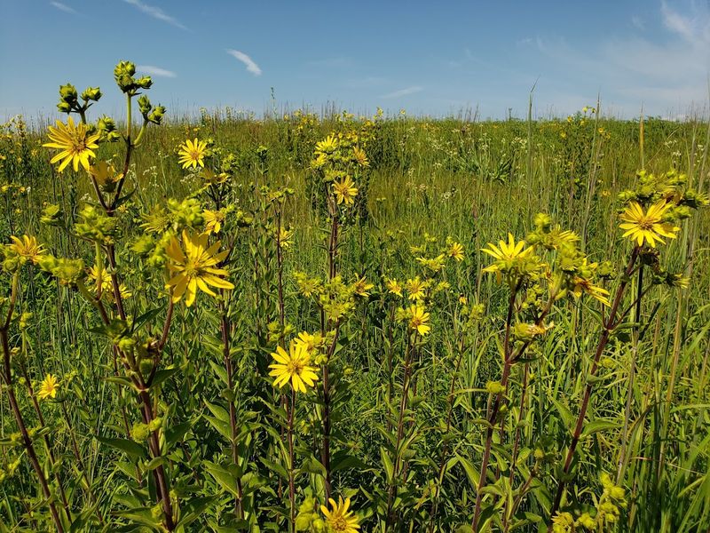 Photography Paradise