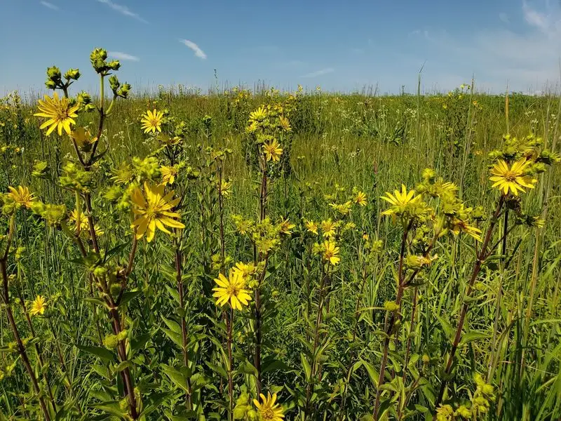 Photography Paradise