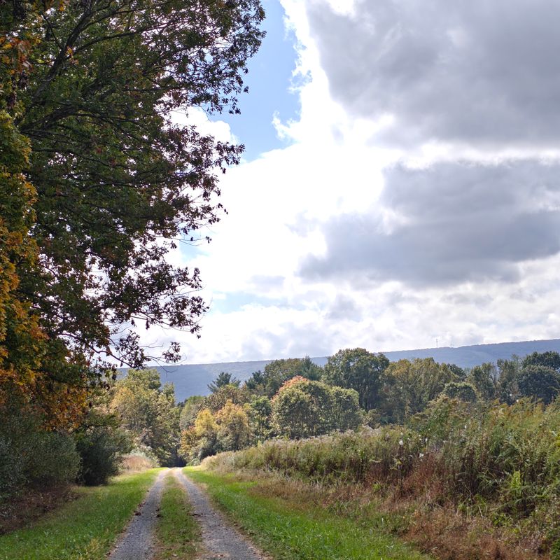 Safety On Active Hunting Lands