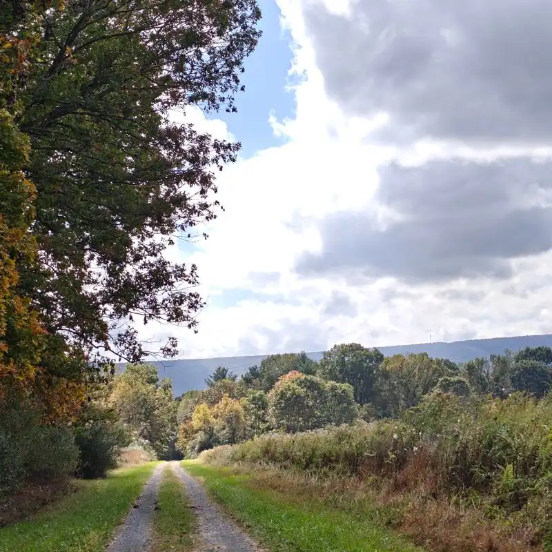 Safety On Active Hunting Lands