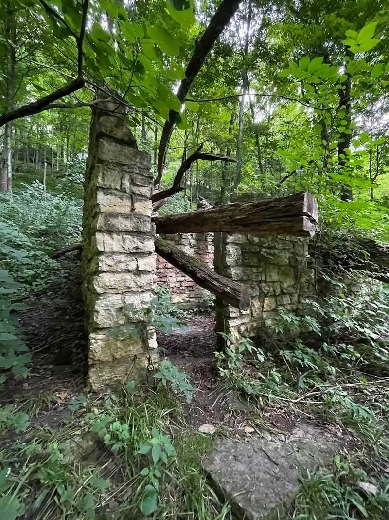 The Serene Creek Adventure