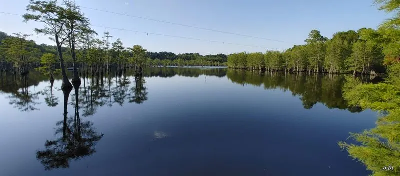 Fishing in an Old School Setting