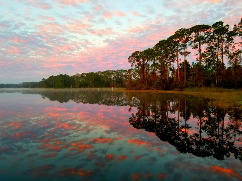 Ocala National Forest &mdash; Ocala, FL