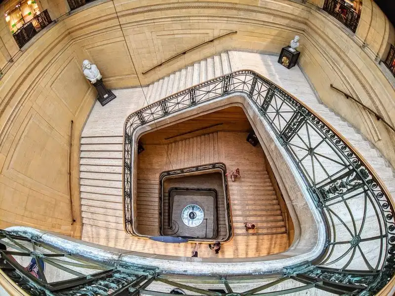 Rare Scientific Artifacts and the Hamilton Collections Gallery