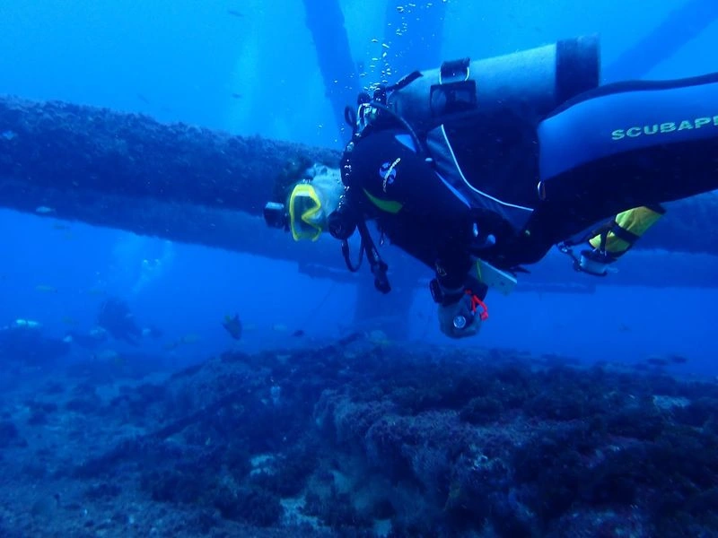 Wildlife Encounters You Will Not Find Anywhere Else