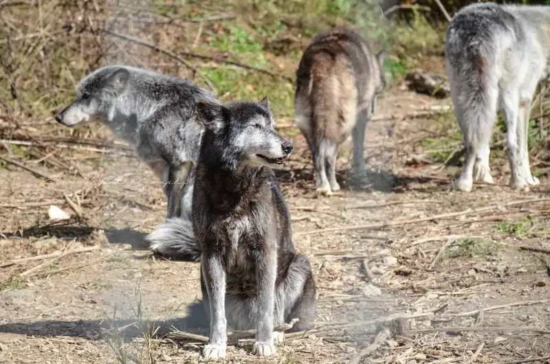 Photography Workshops