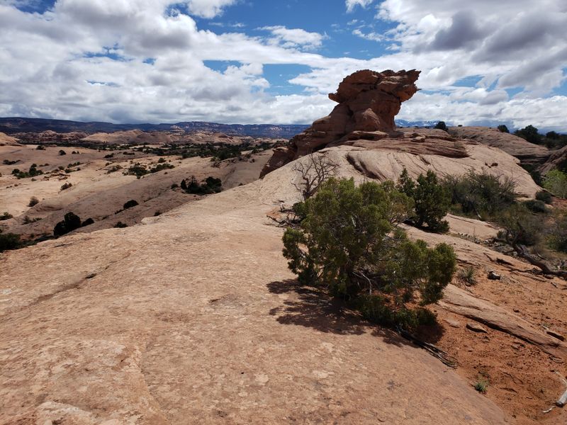 Trail History and Origins