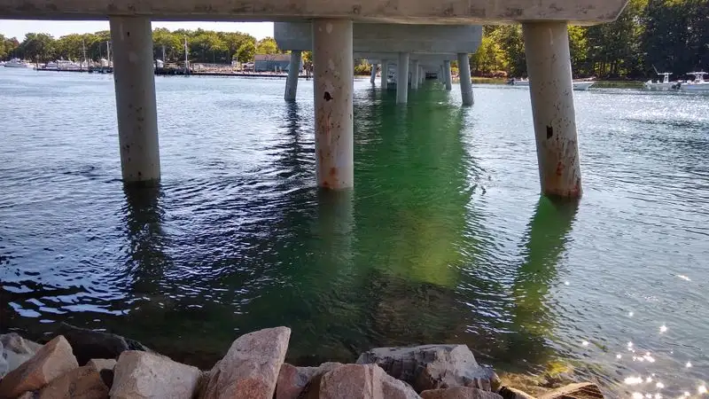 The Bridge Underpass