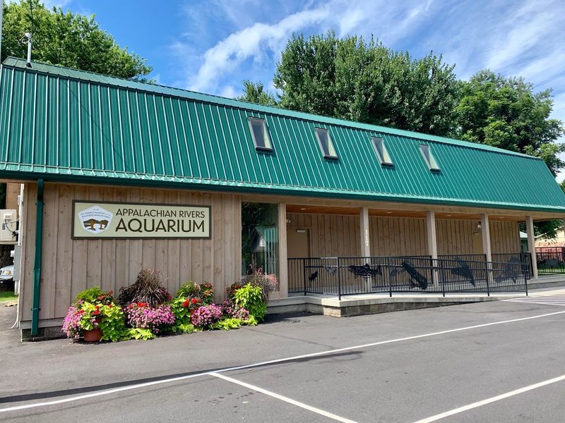 Discover Appalachian Rivers Aquarium (Bryson City)