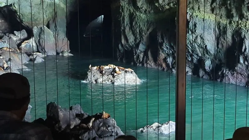 The 12 story sea cave and how it formed