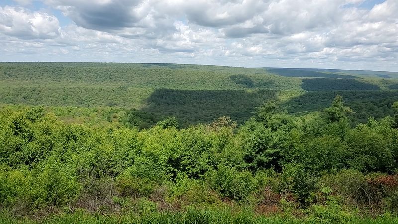 Penn&rsquo;s View (Bald Eagle State Forest)