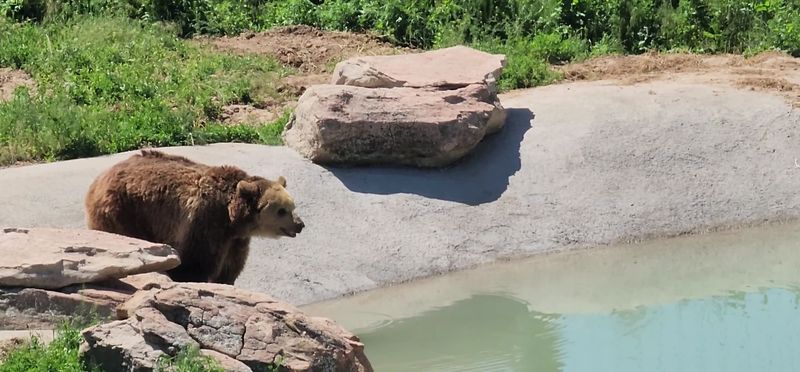 Essential Visitor Info