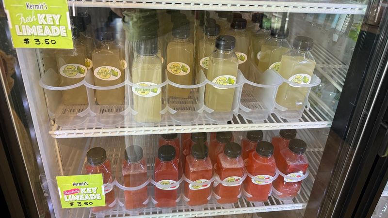 Key Lime Limeade and Refreshing Drinks