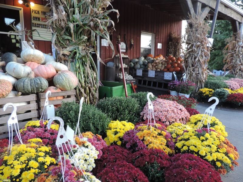 Relaxed, Family-Friendly Atmosphere