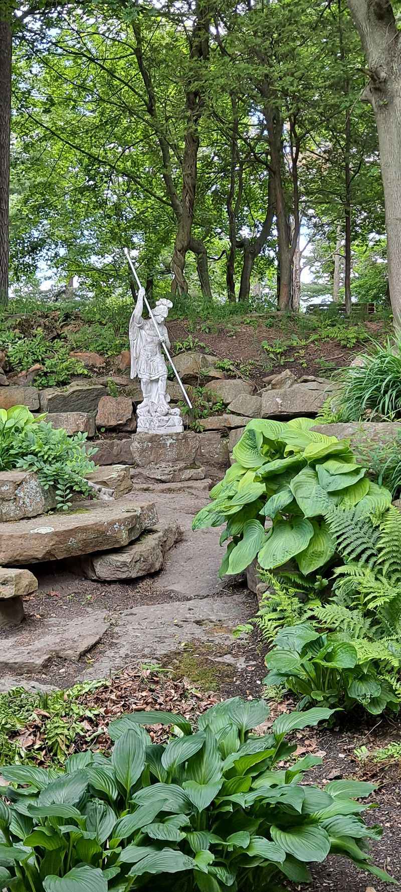 The Iconic Birch Tree