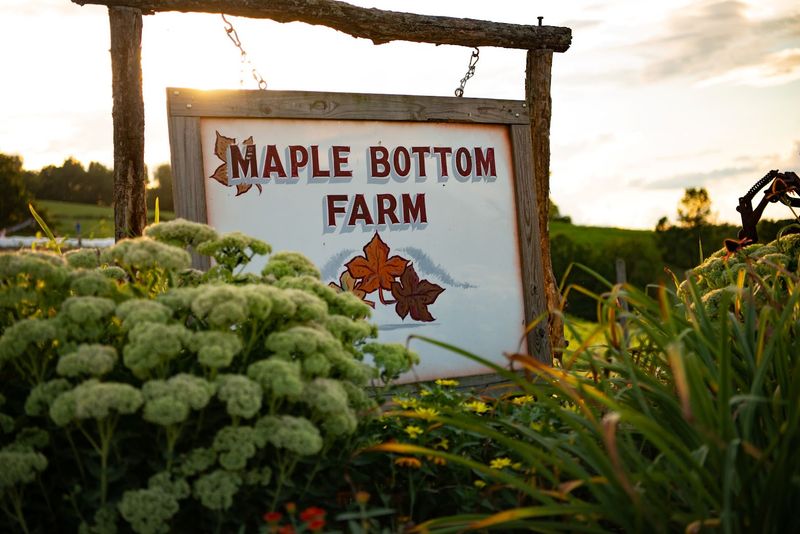 Maple Bottom Farmhouse B&B