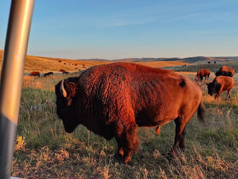 Sunset Tour: Views That Leave You Speechless