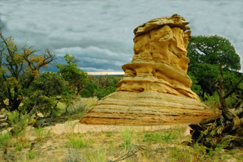 Vermilion Cliffs National Monument