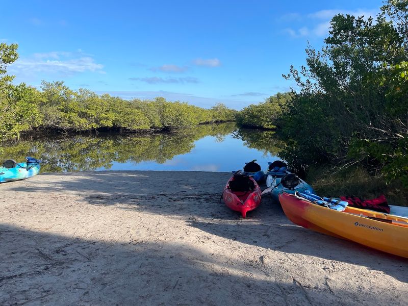 Kayaking Through Tranquil Waters